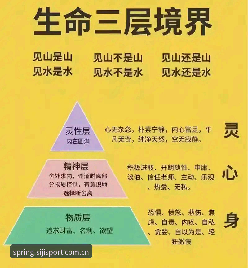 四季体育官网 7大关键维度解析四季体育平台:从入口体验到最新版本核心优势